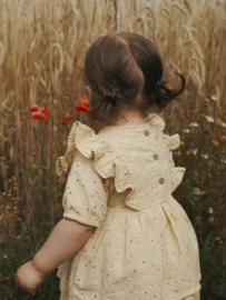 Lil' Atelier MINI NMFFABIOLI SS LOOSE DRESS LIL
