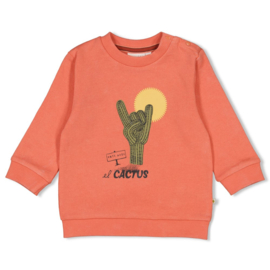 Feetje Sweater - Desert Fiesta