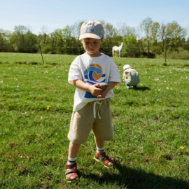 Wheat Shorts Atlasz