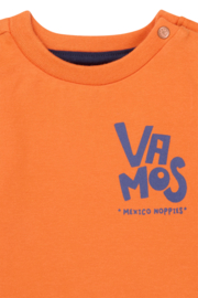 Noppies Boys Tee Olton long sleeve