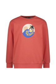 Charlie ray crewneck sweater