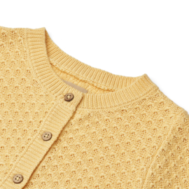 Wheat Knit Cardigan Magnella