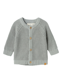 Lil' Atelier Baby NBNEMLEN LS KNIT CARD LIL NOOS