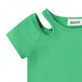 Molo Raja groot