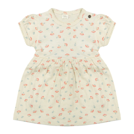 Riffle  dress Abigail