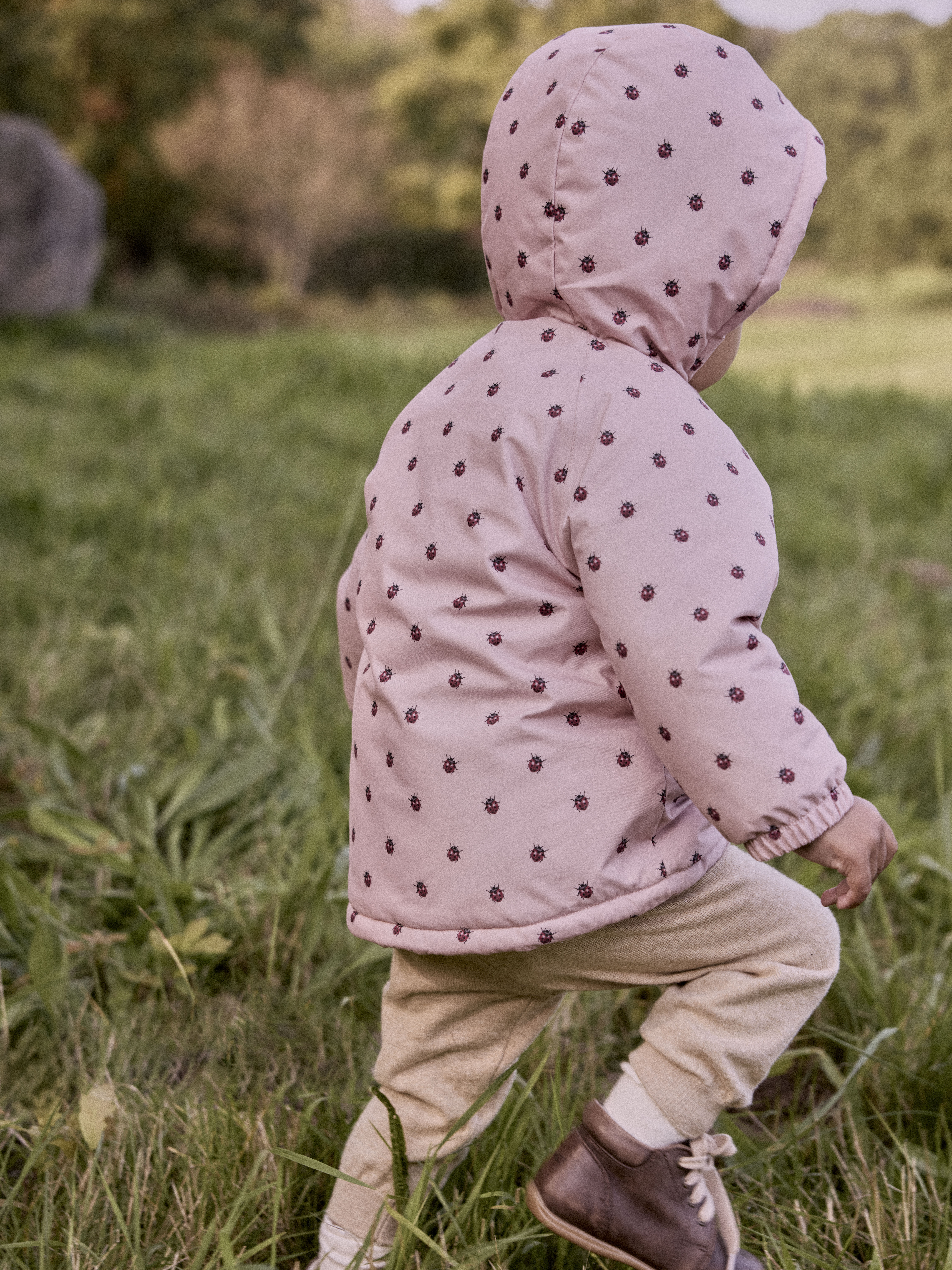 Lil' Atelier  BABY  NBFLASNOW05 JKT AOP FO LIL