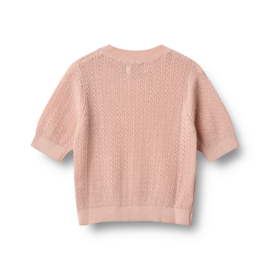 Wheat Knit Top S/S Alva