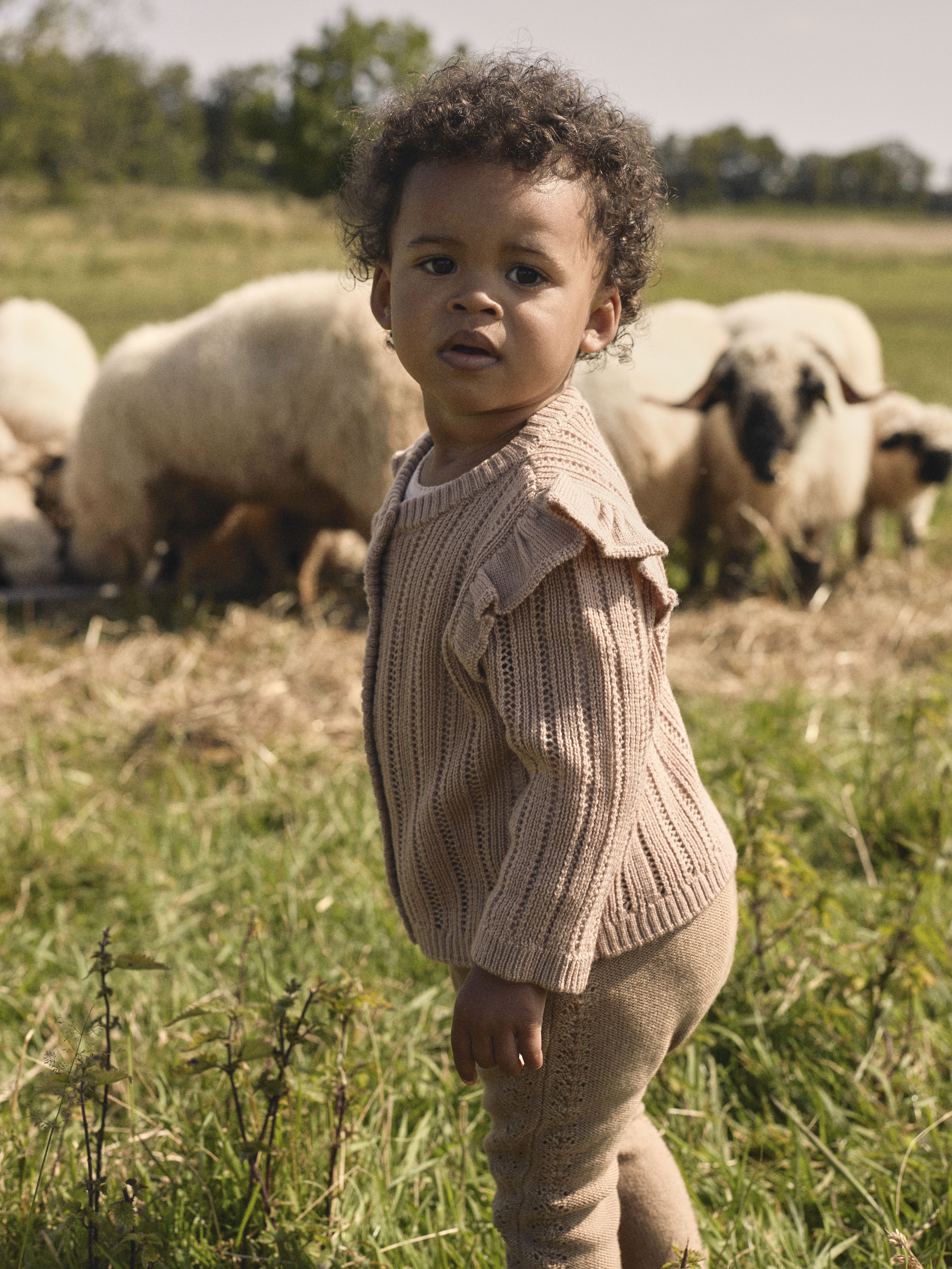 Lil' Atelier  BABY  NBFNOMO LS KNIT CARD LIL