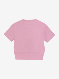 Indian Blue Jeans  T-shirt Cropped Rib
