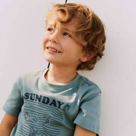 Wheat T-Shirt S/S Seb