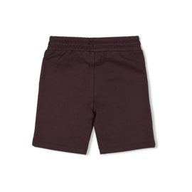 Sturdy Short - Desert Fiesta