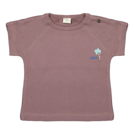 Riffle  t shirt Jord ss groot