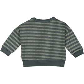 Musli  Stripe sweatshirt baby