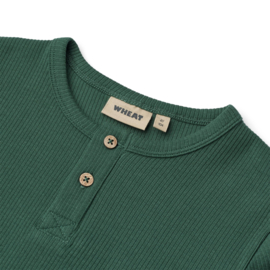 Wheat T-Shirt S/S Lumi