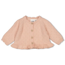 Feetje Vestje gebreid - Sweet Poppy