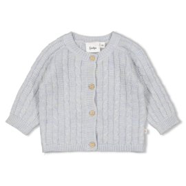 Feetje Vestje gebreid - The Knits