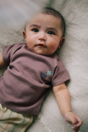 Riffle  t shirt Jord ss groot