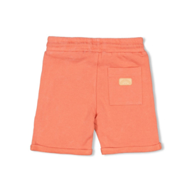 Sturdy  Short - Desert Fiesta