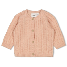 Feetje Vestje gebreid - The Knits