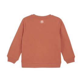 Noppies G Sweater Potterville l.sleeve