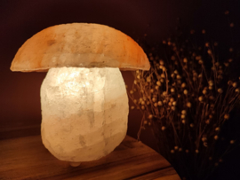 zoutlamp paddenstoel oranje wit