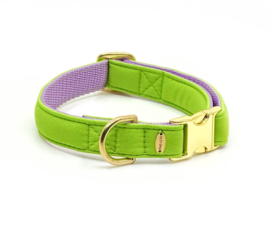 SCUBA halsband - apple green