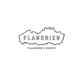Cycling jersey - flandrien