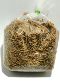 Meelwormen 250 gram