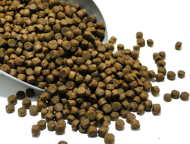 Kattenvoer 2 kg Graanvrij met zalm