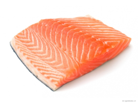 20 kg Zalm en Rijst Hypoallergeen