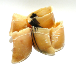 Runderhoefjes leeg 5 stuks