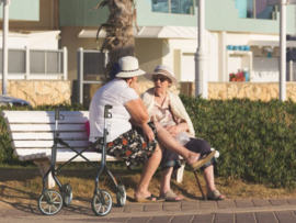 Let's Move Rollator Trust Care Grijs