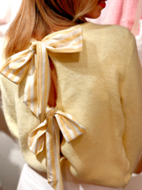 Sweater xane