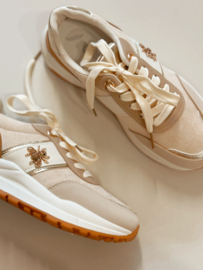 Sneaker guccci
