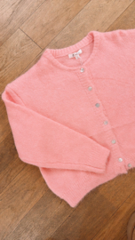 Gilet roos