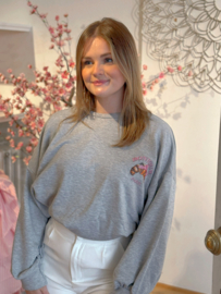 Sweater Paris grijs