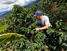 Colombia - Finca el Mirador