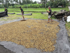 Indonesia - Karana