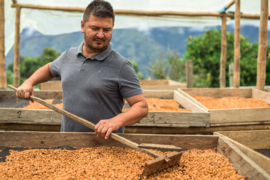 Colombia - Finca Santa Barbara