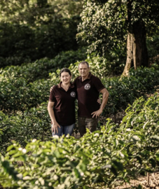 Brazil - Fazenda Maranhao