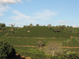 Brazil - Fazenda das Almas