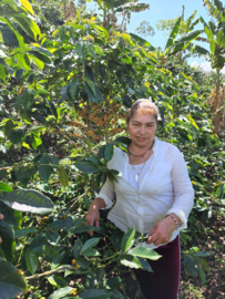 Colombia - Miriam Quesada