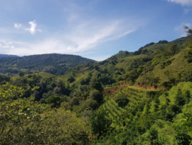 Costa Rica - Alto el Vapor