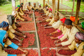 Rwanda - Nyamiyaga