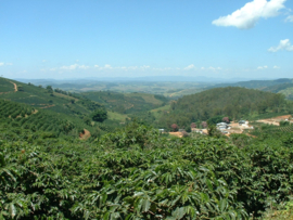 Brazil - Fazenda das Almas