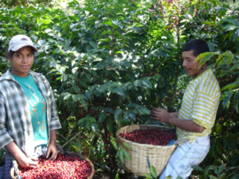 El Salvador - La Reforma