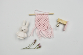 Set “miffy”