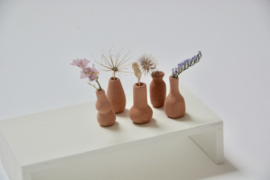 Set of 5 Terracotta vases with dried flowers