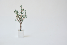 Pink blossom tree in white pot