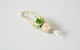 Macrame plantenhanger incl plant in pot